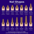 Chart showing different press-on nail shapes and lengths with labeled diagrams and measurements.