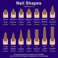 Chart showing different nail shapes and lengths for reusable press-on nails, including oval, almond, coffin, stiletto, and square tips.