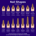 Chart of nail shapes and lengths including oval, almond, coffin, stiletto, and square types