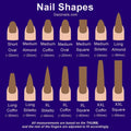 Chart showing various nail shapes and lengths for press-on nails, including oval, almond, coffin, stiletto, and square.